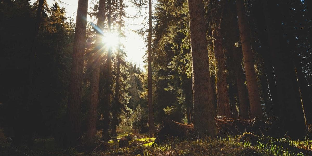 Asking for Help Is Not Weakness, It Is Strength.